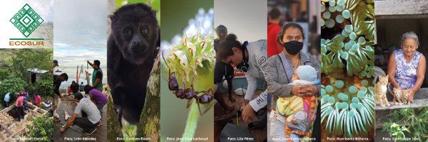 ecosurmx Profile Banner