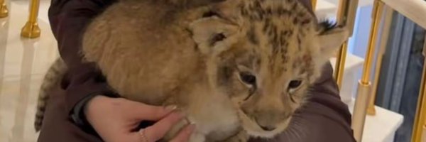 esncj Profile Banner