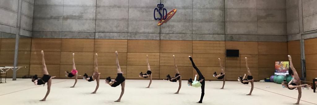 Marta Linares Garcia banner