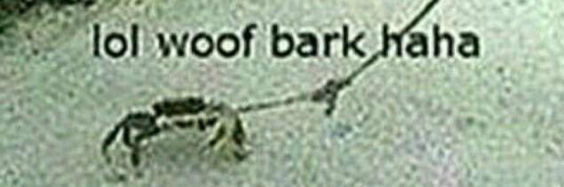 OhPhobic's profile banner image