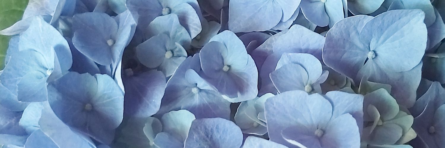 Charlulu12's profile banner image