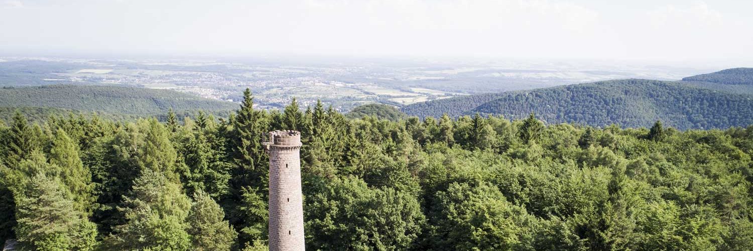 Ville de Niederbronn-les-Bains banner