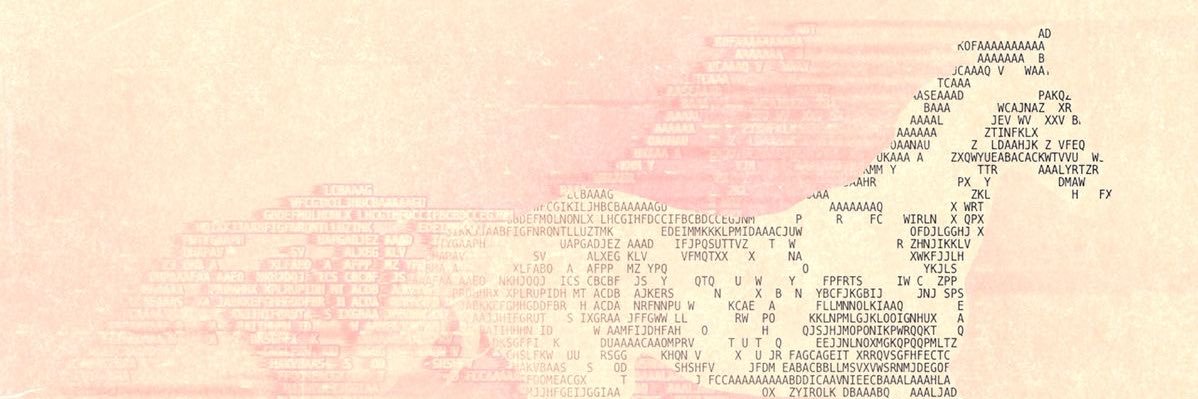 sally🦢 banner