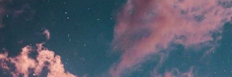 sofiadekartzow's profile banner image