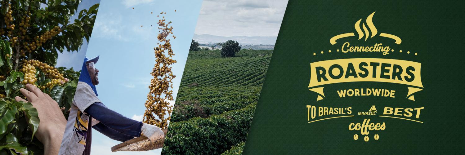 Minasul Specialty Coffee banner