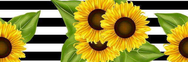 AssSoPhat7's profile banner image