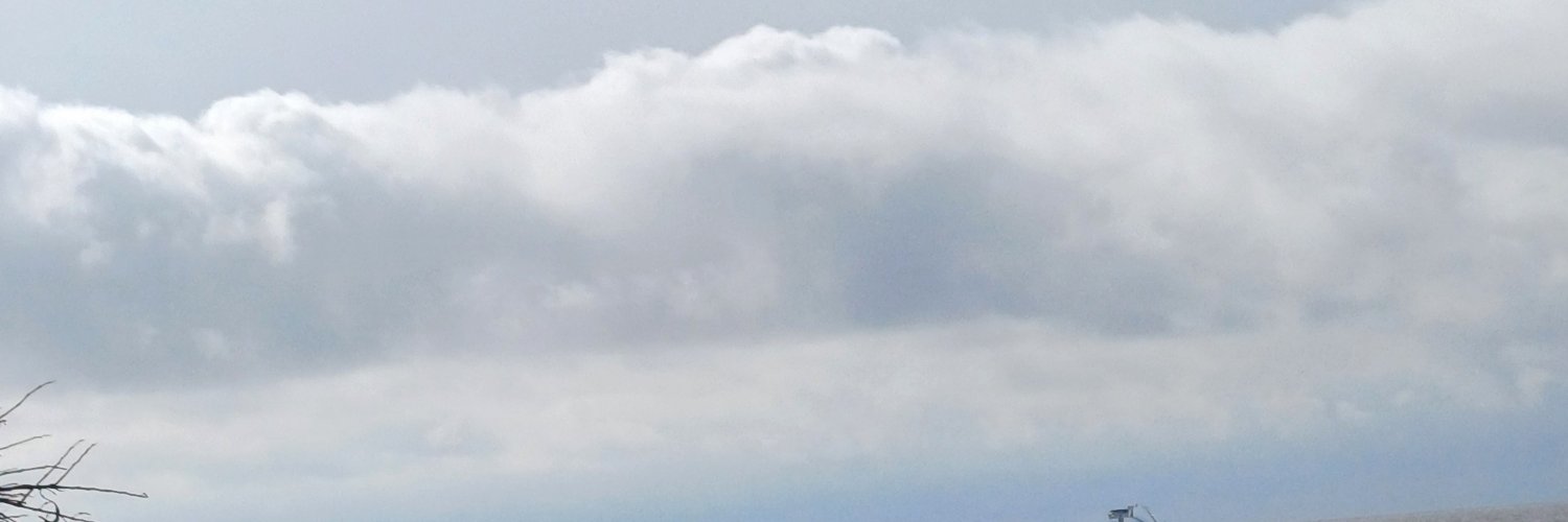 Moregilless's profile banner image