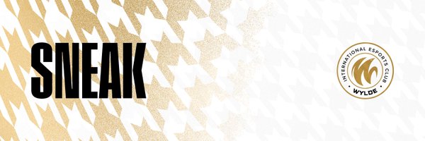 Sneaaak_ Profile Banner