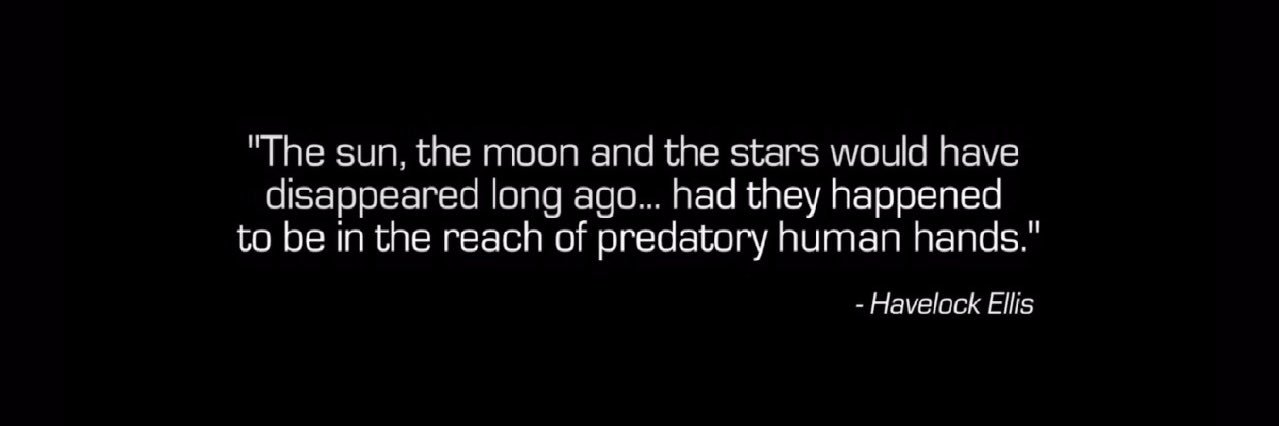 Arka Satpathi banner