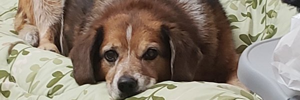 dyto11 Profile Banner