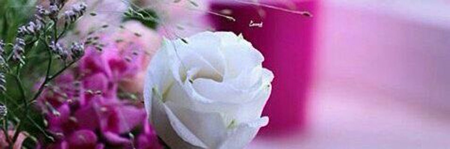 hoda1900h's profile banner image