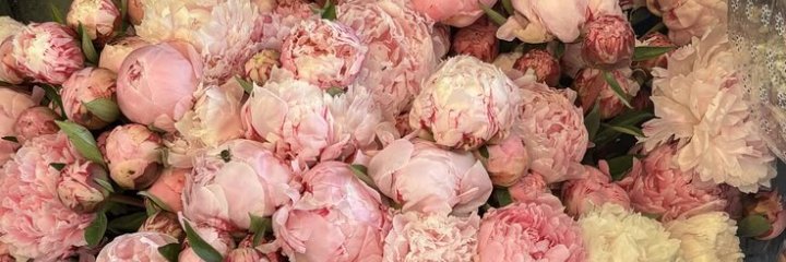 quela_de's profile banner image