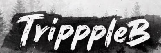 ImTripppleB banner