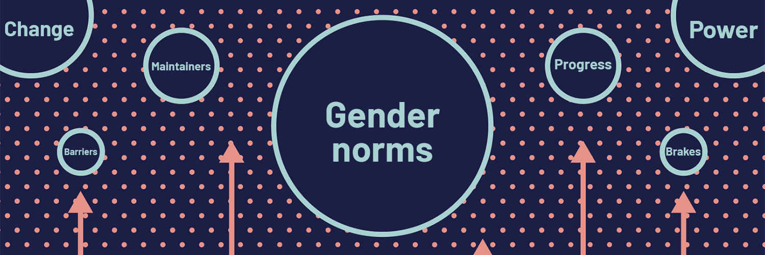 ALIGN Gender Norms Platform banner