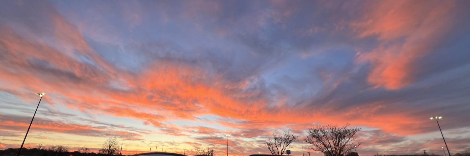 Tara Larrimore banner