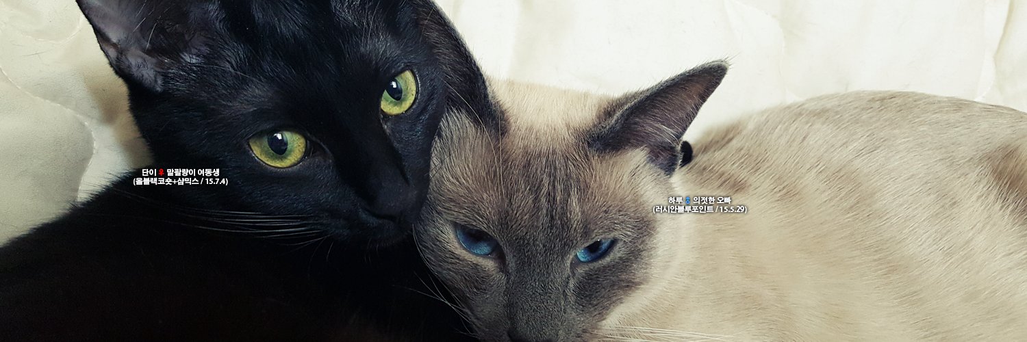 Only_Oneday's profile banner image