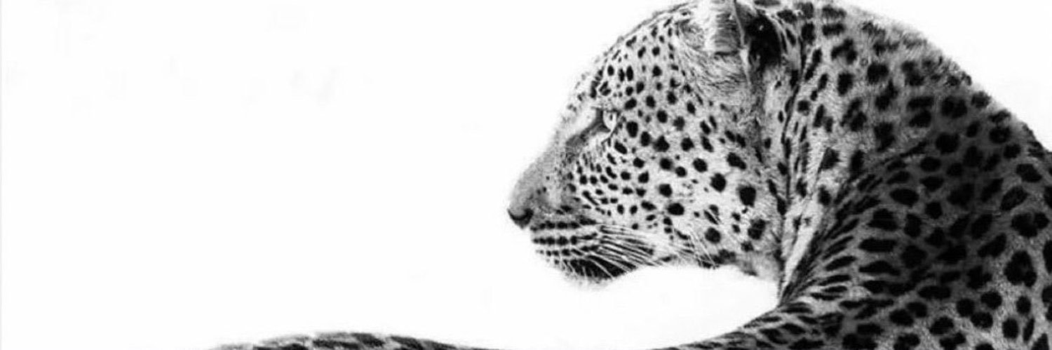 ma5iil's profile banner image