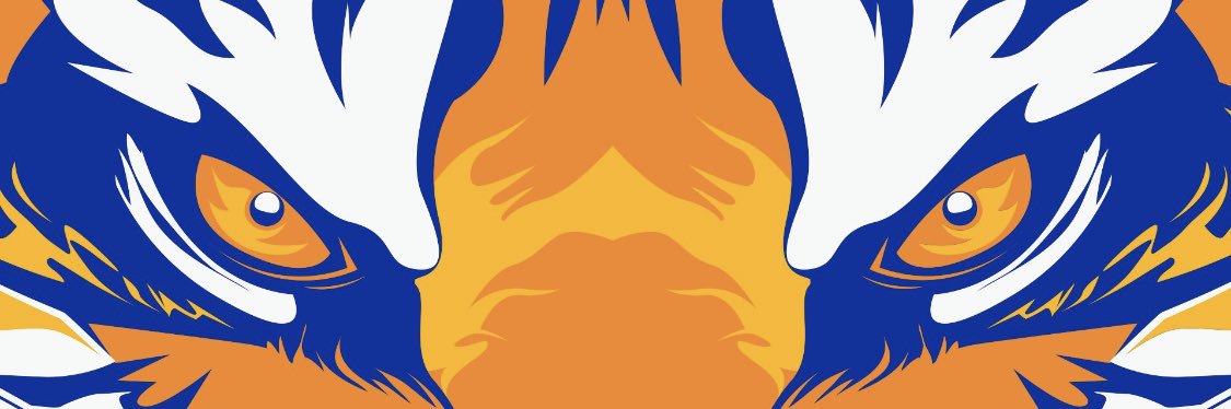 ®️amesca banner