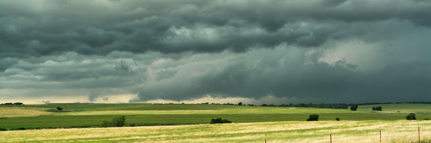 Amanda Schnaare banner