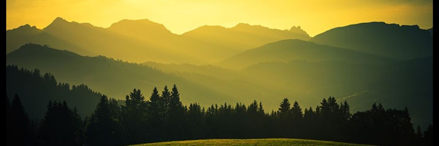 Taniel_J's profile banner image