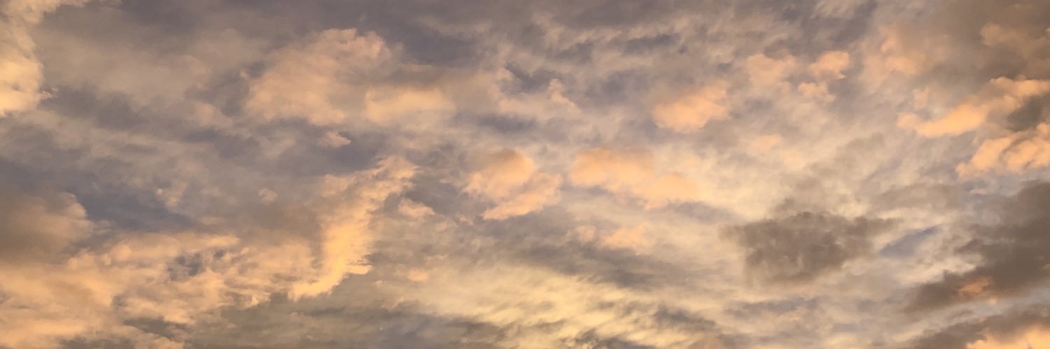 therileyhicks's profile banner image