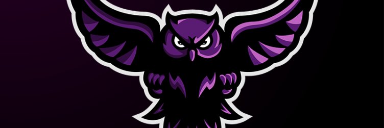 imOwlzo's profile banner image