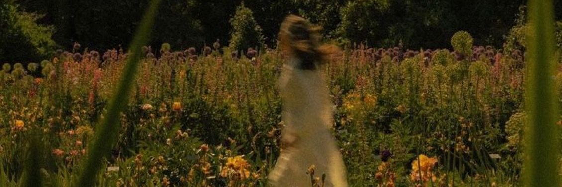ra_8_2's profile banner image