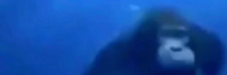 Daqhz_'s profile banner image