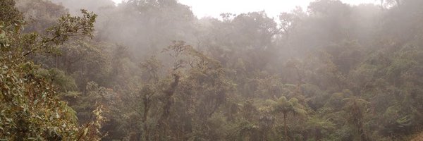 zapata_lab Profile Banner