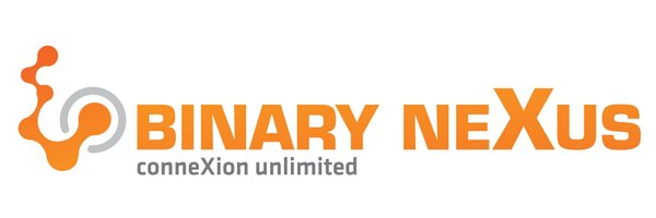 BinaryNexusBX Profile Banner