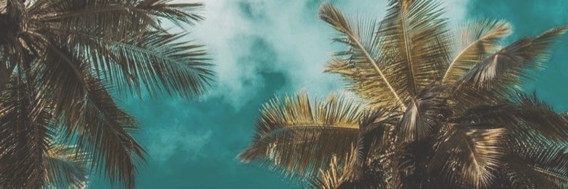 soysadrack's profile banner image