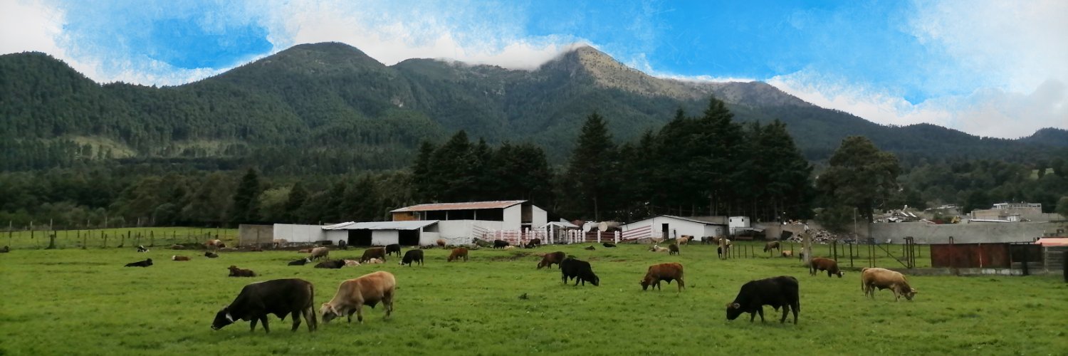 Estevan G&V México Transformado banner