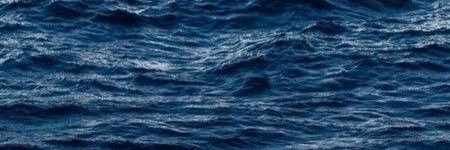 せいじ banner