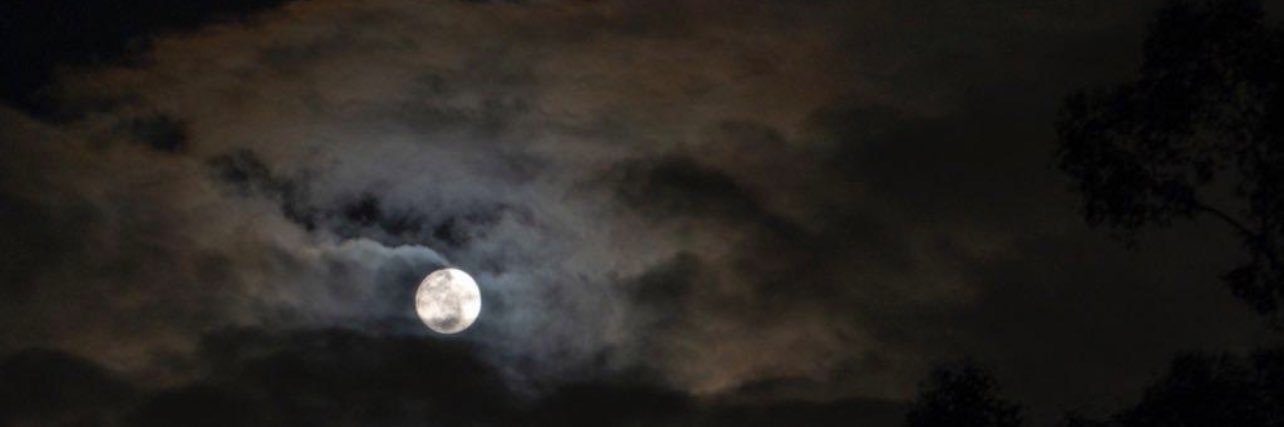 ♡ banner