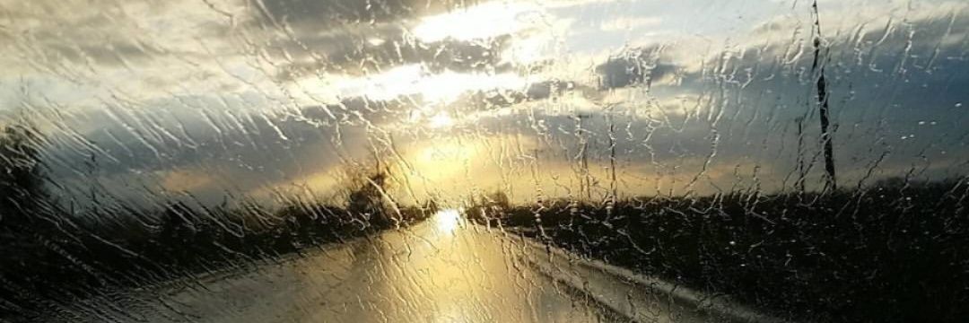 Cooperwolf131 banner