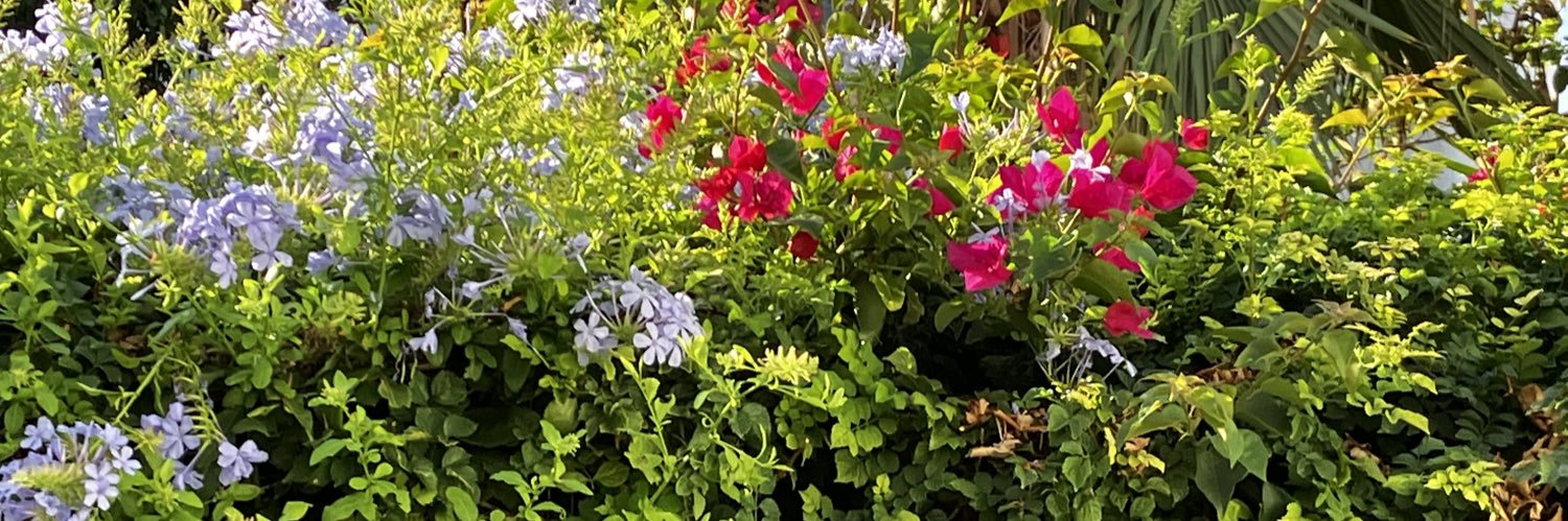 Clare Fenwick banner