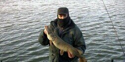 smellor67's profile banner image