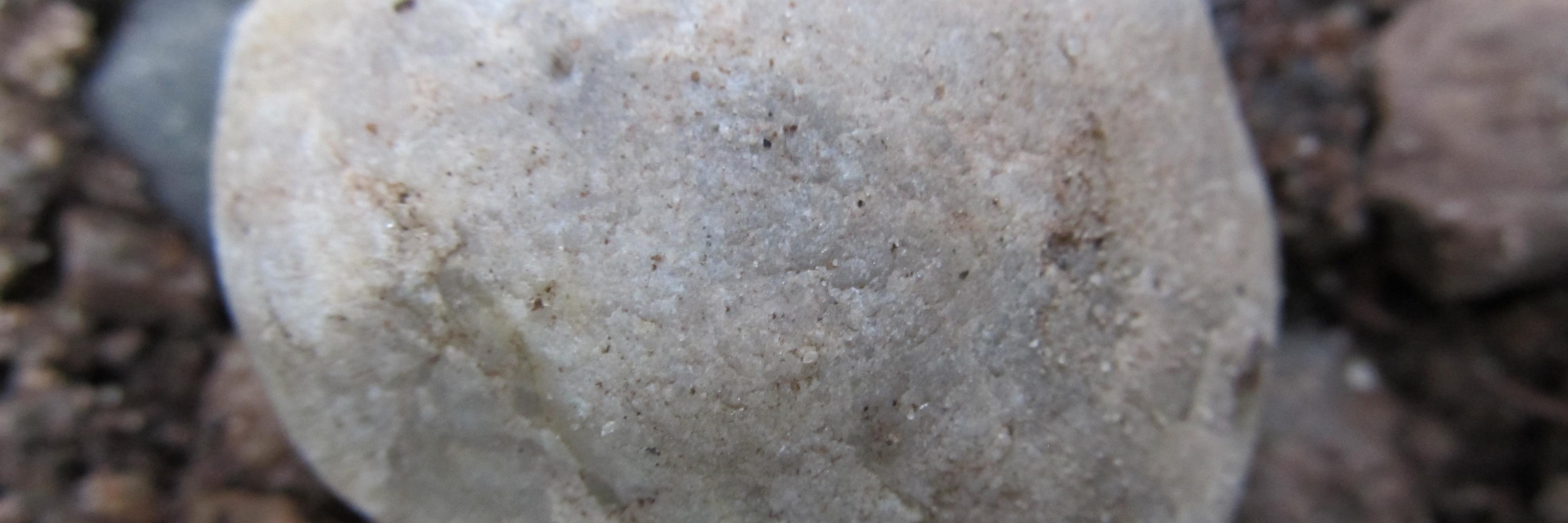 Ciurlis's profile banner image