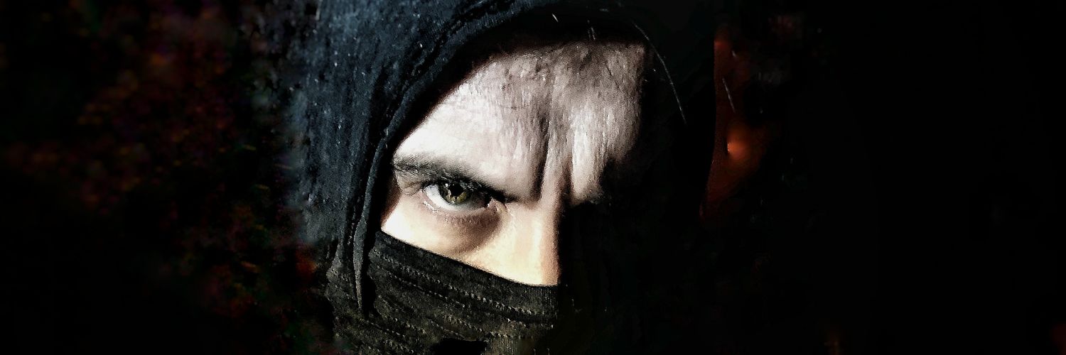 Pícaro banner