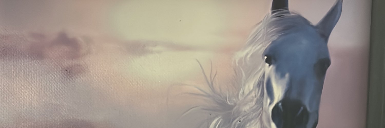 luisfcanon's profile banner image