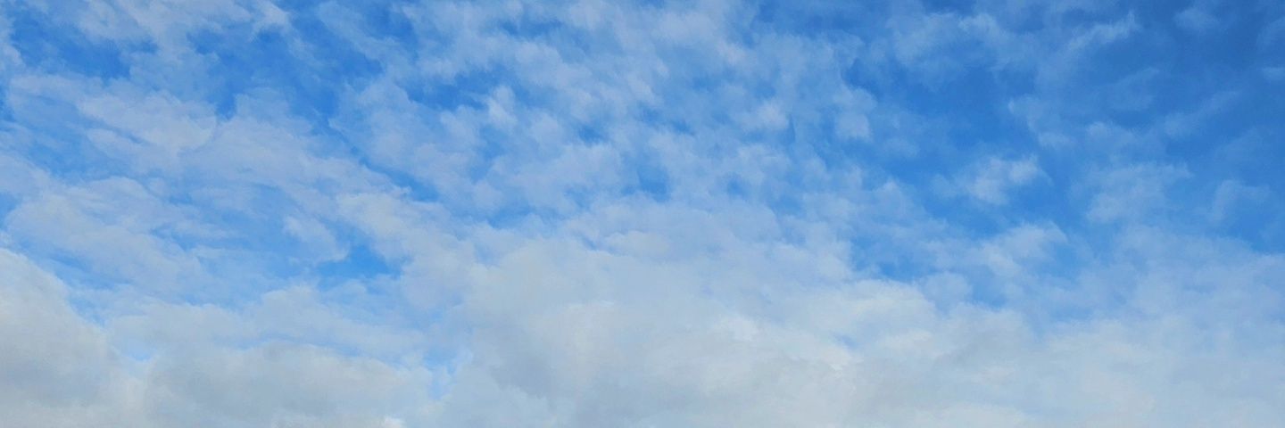 synne_idk's profile banner image