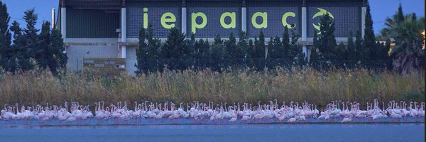 _IEPAAC Profile Banner