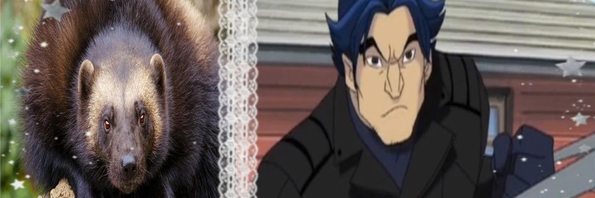 mirwae's profile banner image