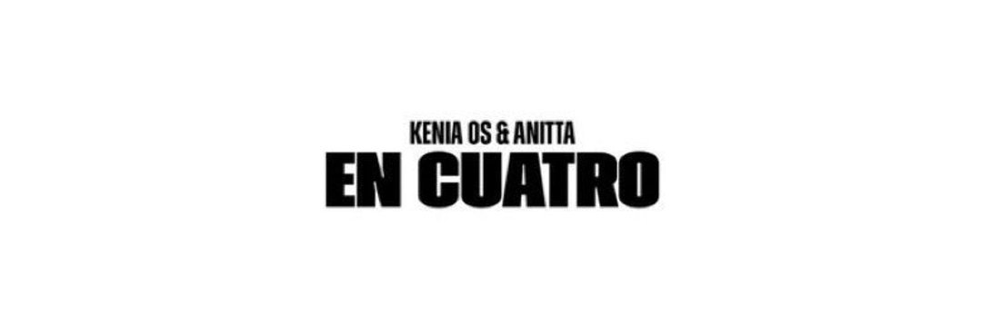 effectanitta's profile banner image