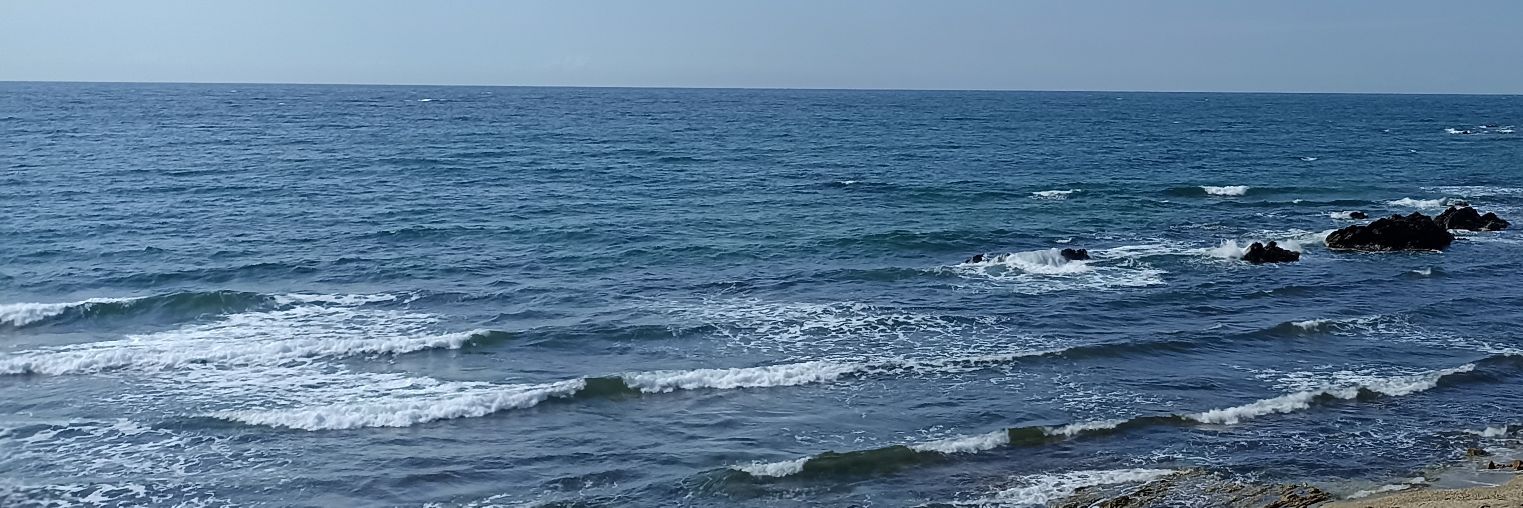 P_Ppig's profile banner image