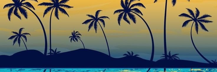 AAmendieta's profile banner image
