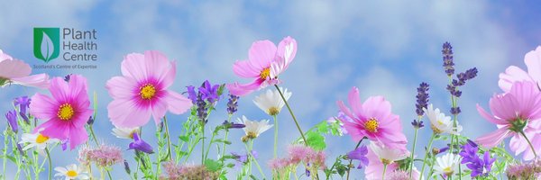 PlantHealthScot Profile Banner