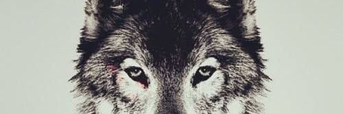 miguesan16's profile banner image