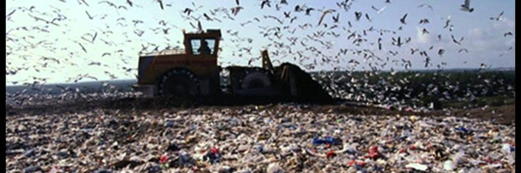 dustbin_lorry's profile banner image