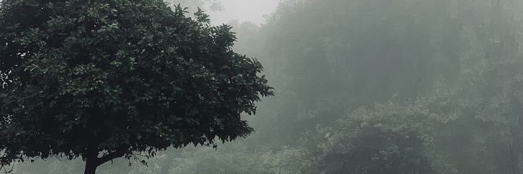 خالد الحارثي banner